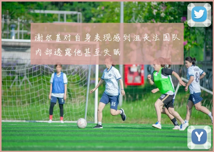 谢尔基对自身表现感到沮丧法国队内部透露他甚至失眠